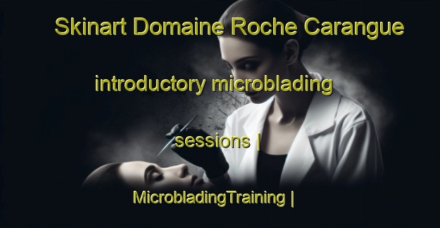 Skinart Domaine Roche Carangue introductory microblading sessions | MicrobladingTraining | MicrobladingClasses | SkinartTraining-Réunion